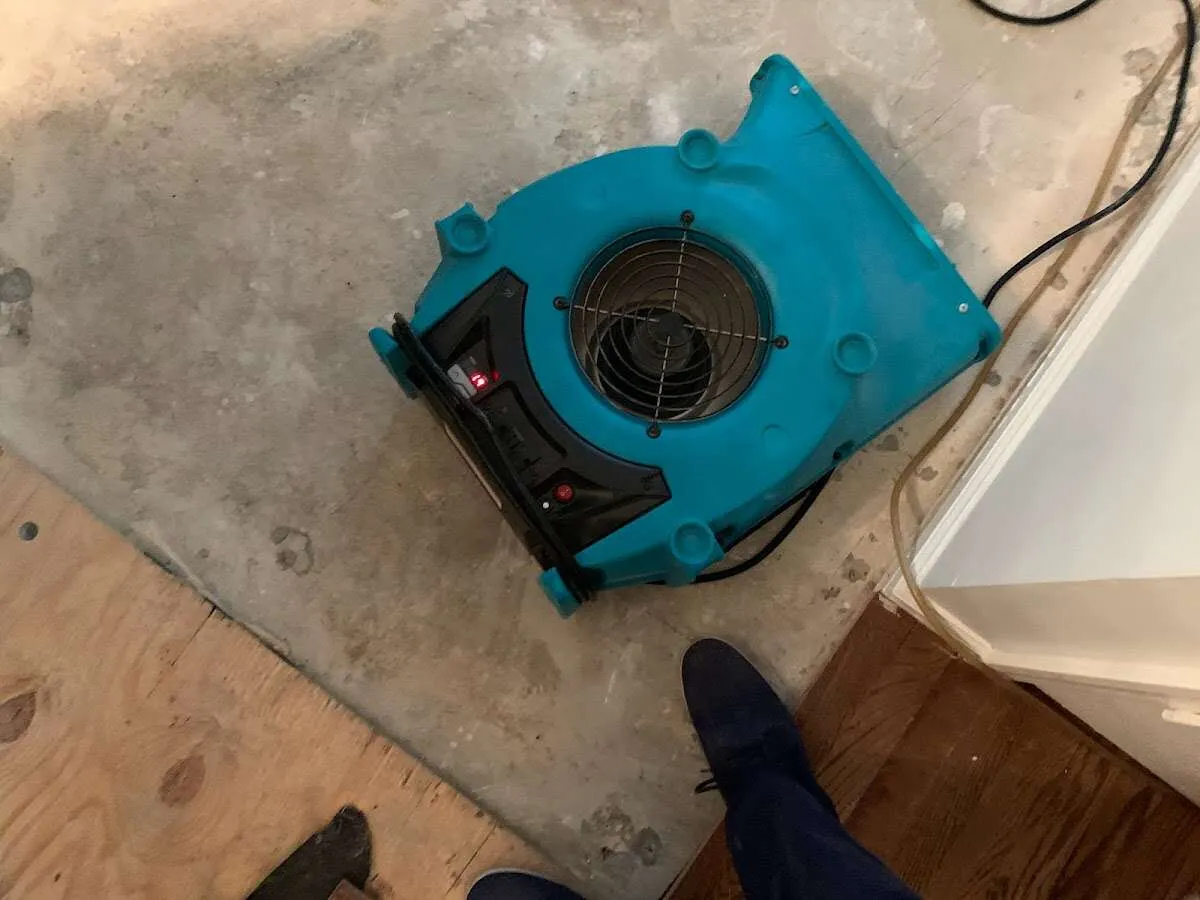Air mover drying subfloor during Leak Detection & Repair in Cheviot